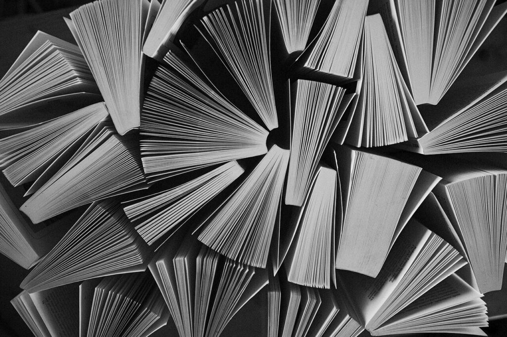 library, wisdom, reading, knowledge, education, study, read, book, library, library, library, library, reading, reading, education, education, education, study, study, book, book, book, book, book